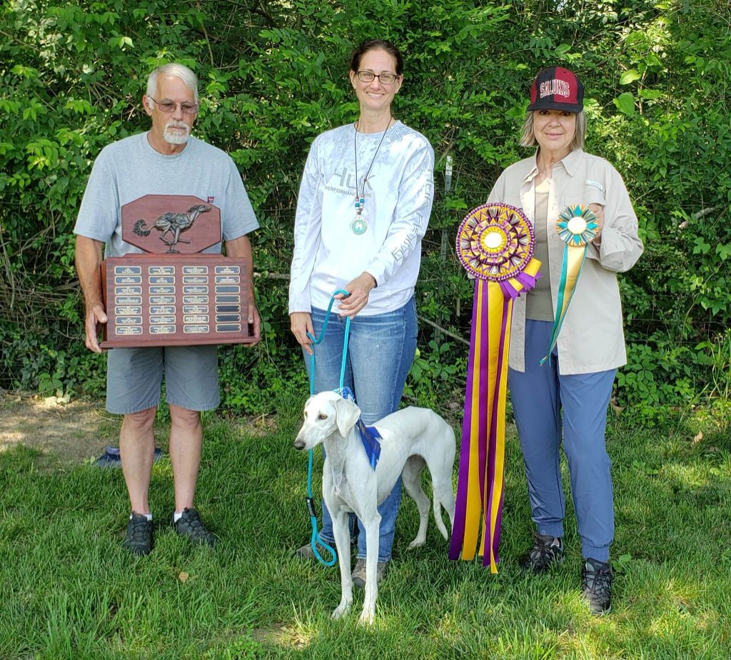 Al Assli - Une fille de Hammer Championne des USA coursing et beauté