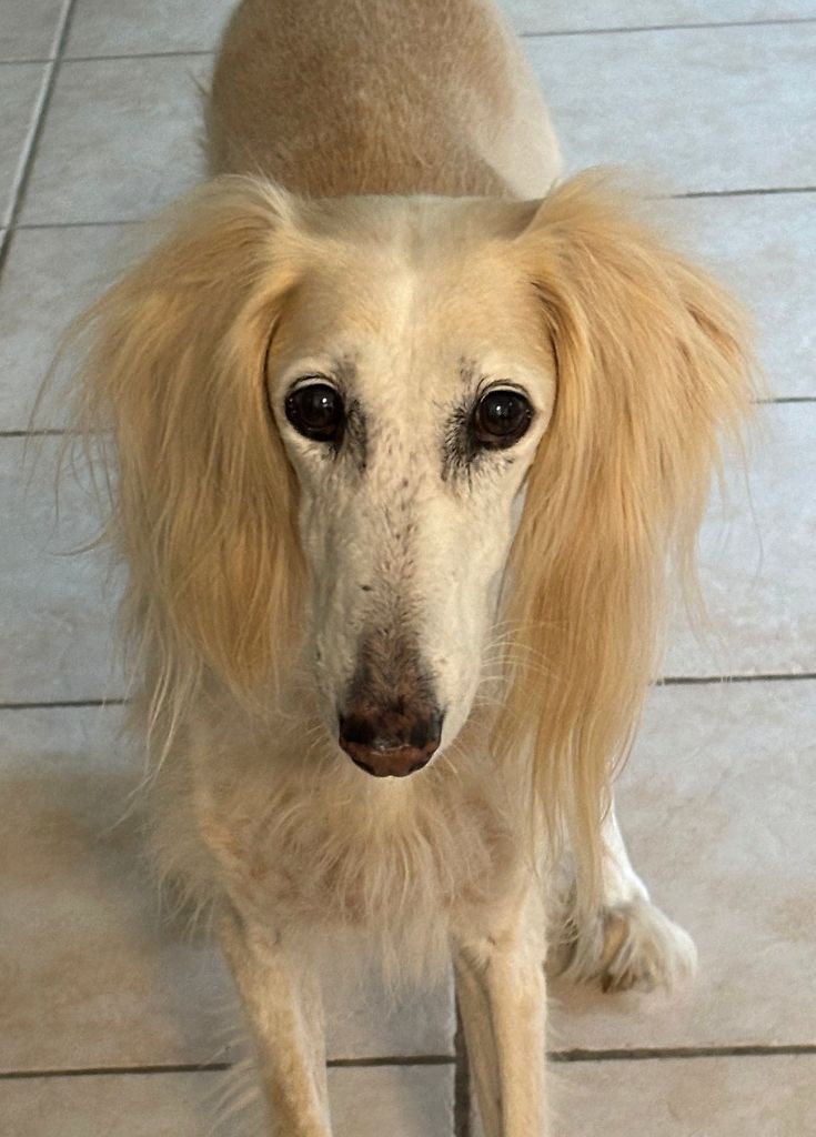 Bon 13e anniversaire Chloé !
